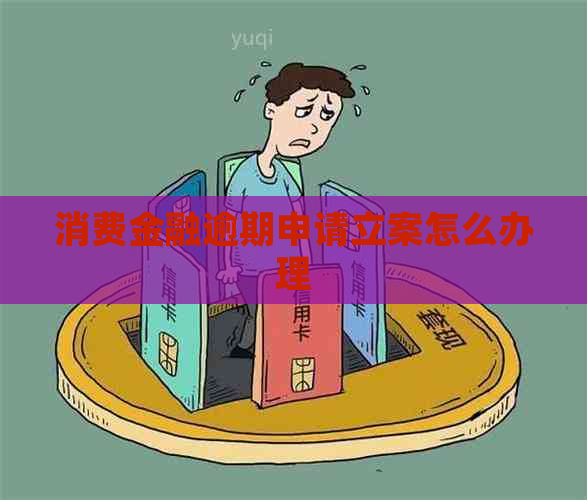 消费金融逾期申请立案怎么办理