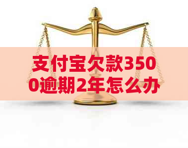 支付宝欠款3500逾期2年怎么办