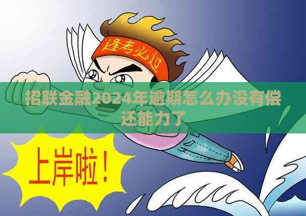 招联金融2024年逾期怎么办没有偿还能力了