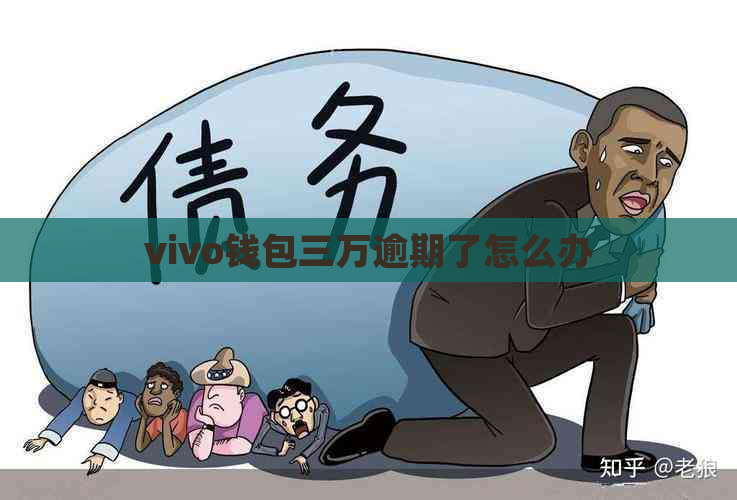 vivo钱包三万逾期了怎么办