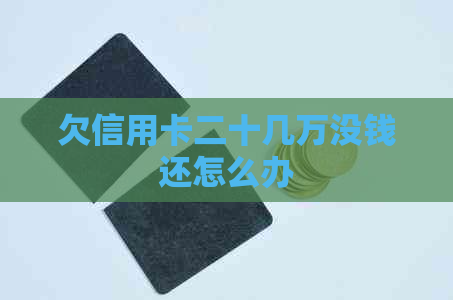 欠信用卡二十几万没钱还怎么办