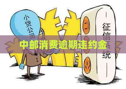 中邮消费逾期违约金