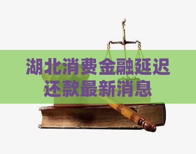 湖北消费金融延迟还款最新消息