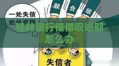 桂林银行催借呗逾期怎么办