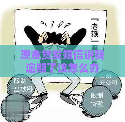 现金贷发短信说我逾期了该怎么办