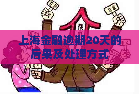 上海金融逾期20天的后果及处理方式