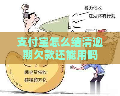 支付宝怎么结清逾期欠款还能用吗