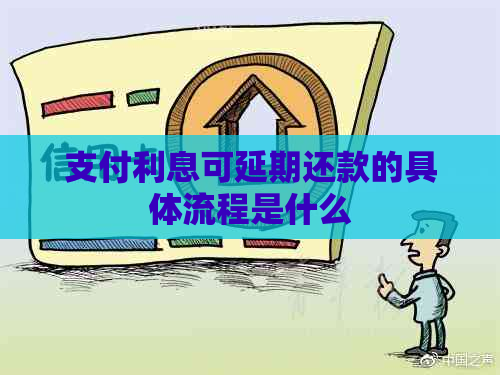 支付利息可延期还款的具体流程是什么