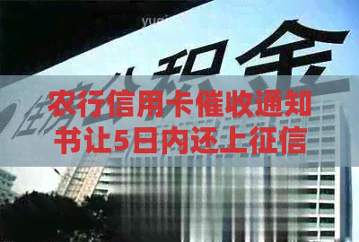 农行信用卡通知书让5日内还上