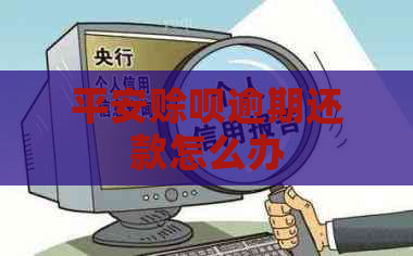 平安赊呗逾期还款怎么办