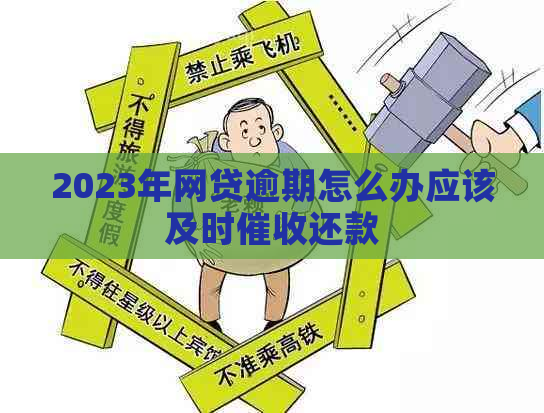 2023年网贷逾期怎么办应该及时还款