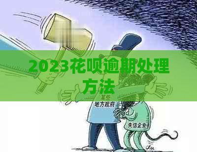 2023花呗逾期处理方法