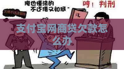 支付宝网商贷欠款怎么办