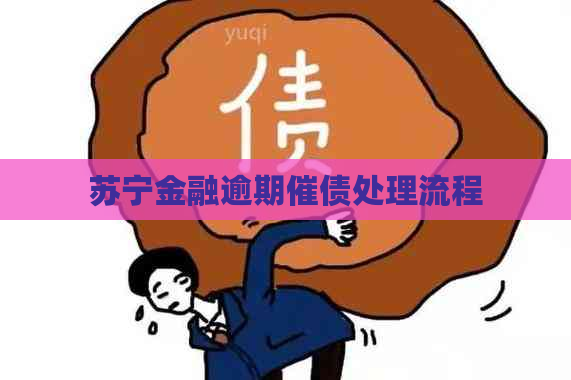 苏宁金融逾期催债处理流程