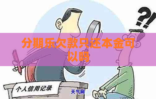 欠款只还本金可以吗