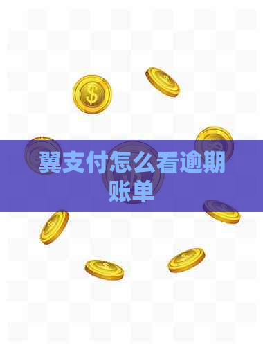 翼支付怎么看逾期账单