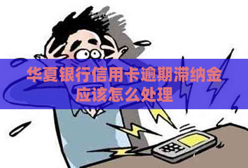 华夏银行信用卡逾期滞纳金应该怎么处理