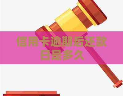 信用卡逾期后还款日是多久