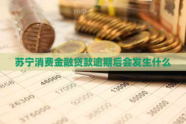 苏宁消费金融贷款逾期后会发生什么