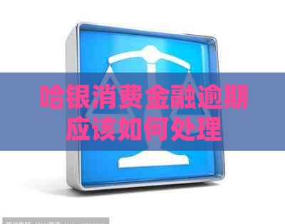 哈银消费金融逾期应该如何处理