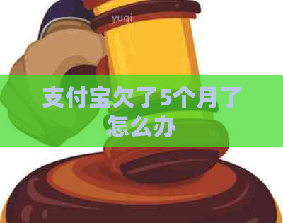 支付宝欠了5个月了怎么办