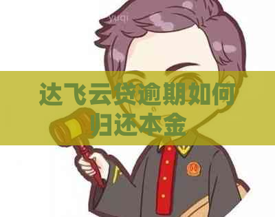 达飞云贷逾期如何归还本金