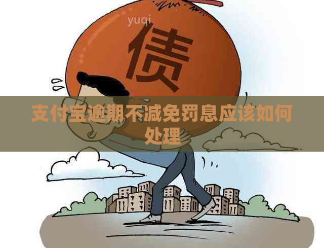 支付宝逾期不减免罚息应该如何处理