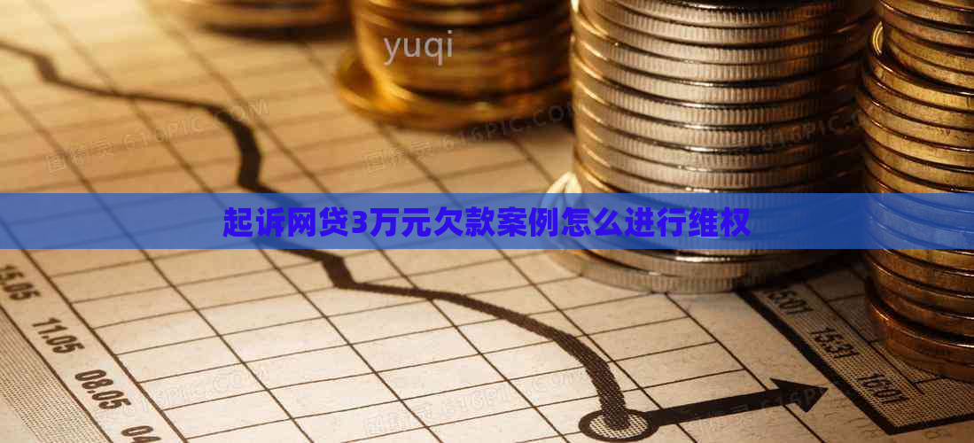 起诉网贷3万元欠款案例怎么进行     