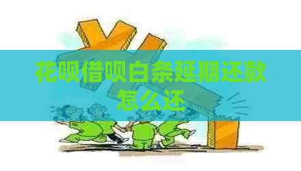 花呗借呗白条延期还款怎么还