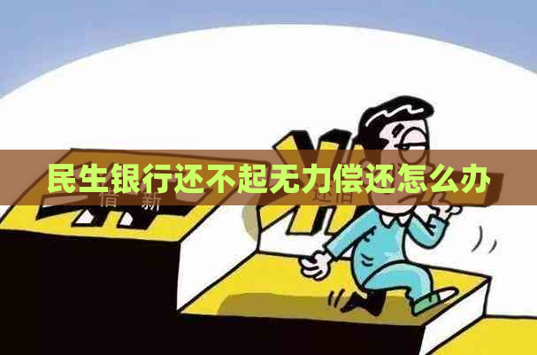 民生银行还不起无力偿还怎么办