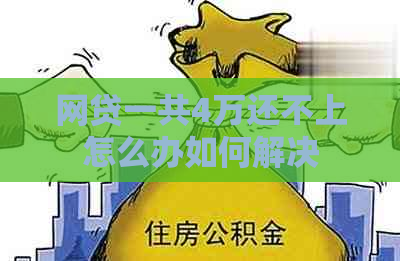 网贷一共4万还不上怎么办如何解决