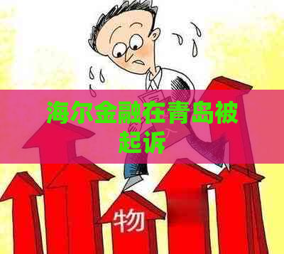 海尔金融在青岛被起诉