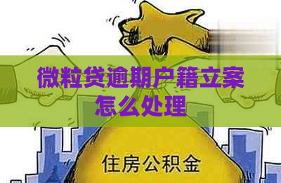 微粒贷逾期户籍立案怎么处理