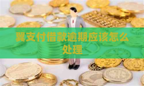 翼支付借款逾期应该怎么处理