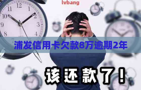 浦发信用卡欠款8万逾期2年