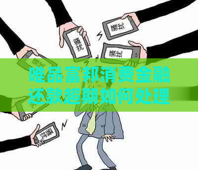 唯品富邦消费金融还款超期如何处理