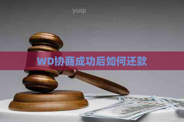 WD协商成功后如何还款