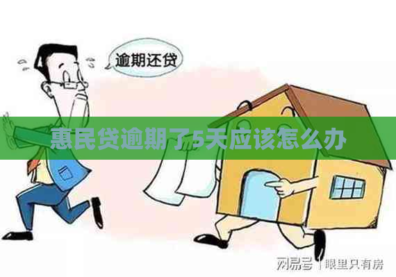 惠民贷逾期了5天应该怎么办