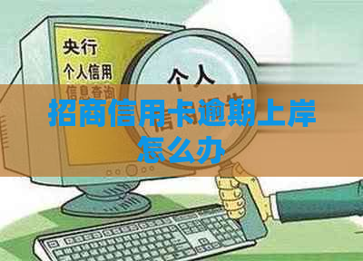 招商信用卡逾期上岸怎么办