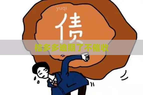 桔多多逾期了不