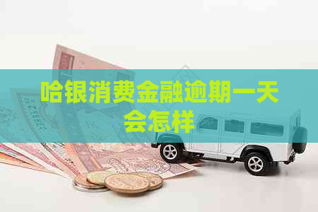 哈银消费金融逾期一天会怎样