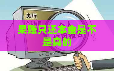 呆账只还本金是不是真的