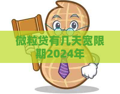 微粒贷有几天宽限期2024年