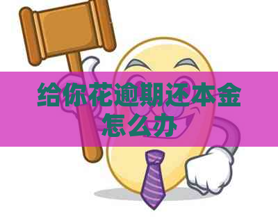 给你花逾期还本金怎么办