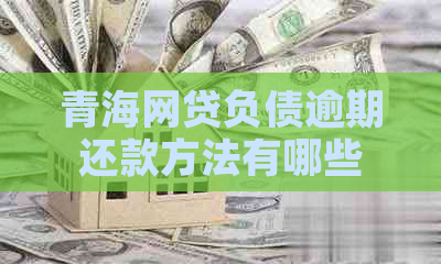 青海网贷负债逾期还款方法有哪些