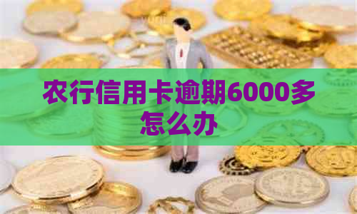 农行信用卡逾期6000多怎么办