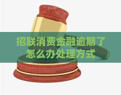 招联消费金融逾期了怎么办处理方式