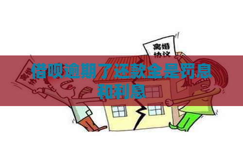 网贷逾期了还款全是罚息和利息