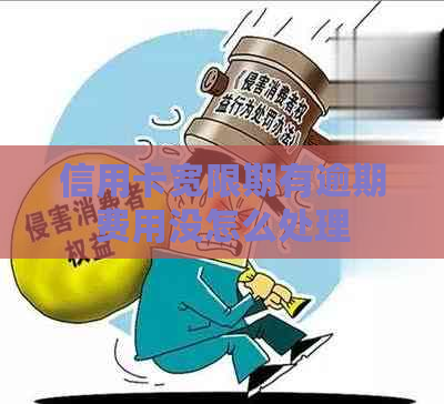 信用卡宽限期有逾期费用没怎么处理