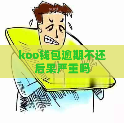 koo钱包逾期不还后果严重吗